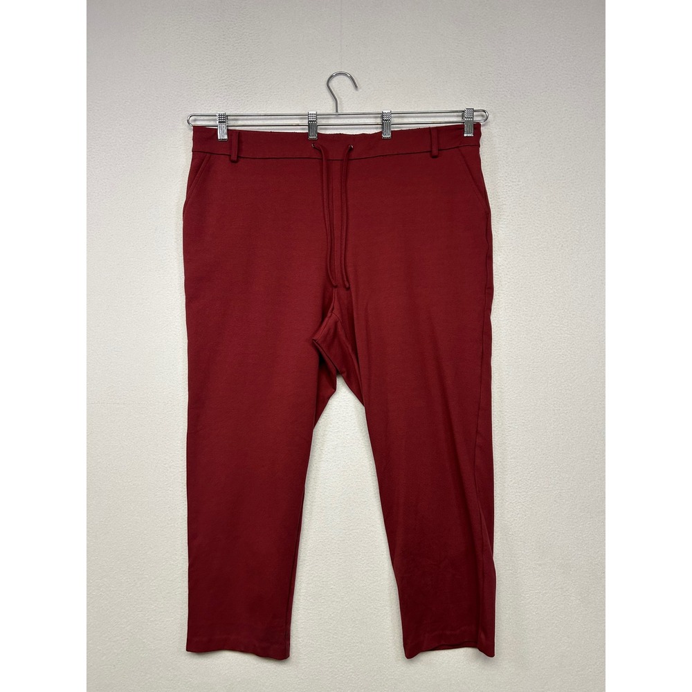 Dark Academia Jones & Co Jones New York Womens 2X Burgundy Pull On Ankle Pants